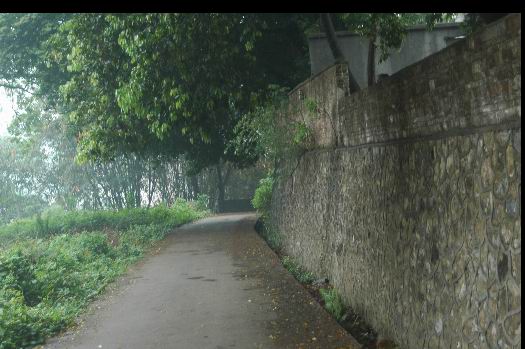 上电影院的路和灯光球场