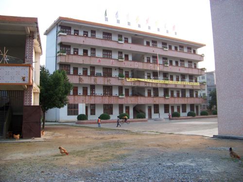 金星小学
