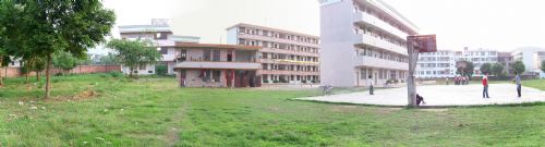 金星小学