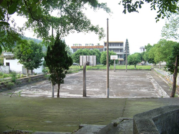 白电