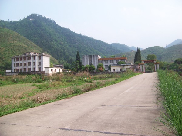 白电