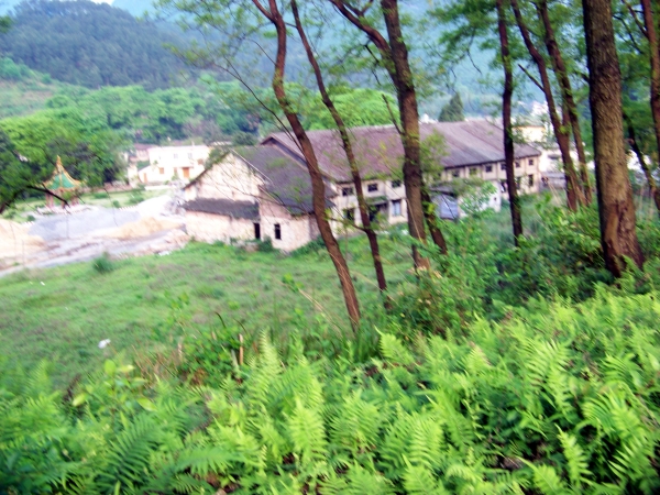 明化厂周边