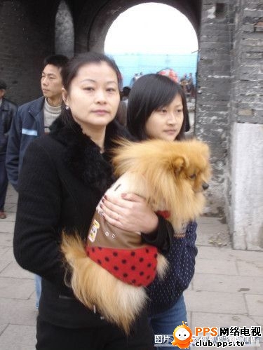 [转帖]网络追杀令（请大家转发）