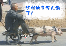 mcg3paBE.gif