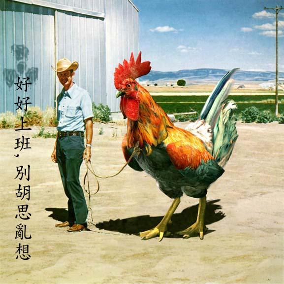 [贴图]搞笑图片！呵呵！