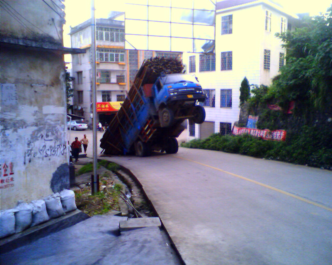 寨岗牛车又来了