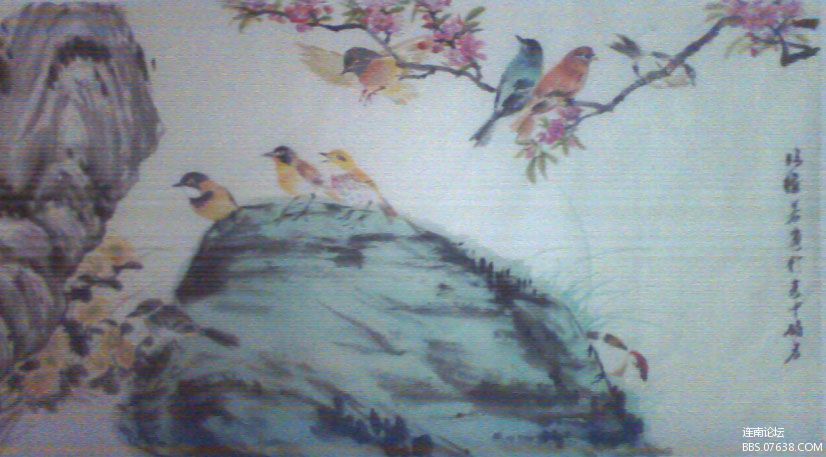 鸟.jpg