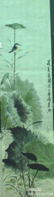 荷花.jpg