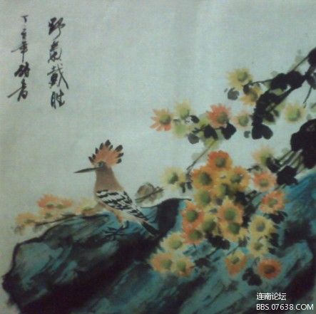 野菊戴胜.jpg