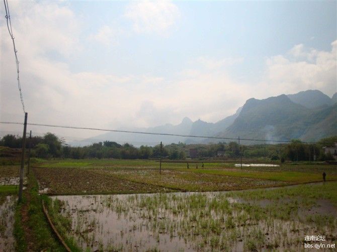 ya06.jpg