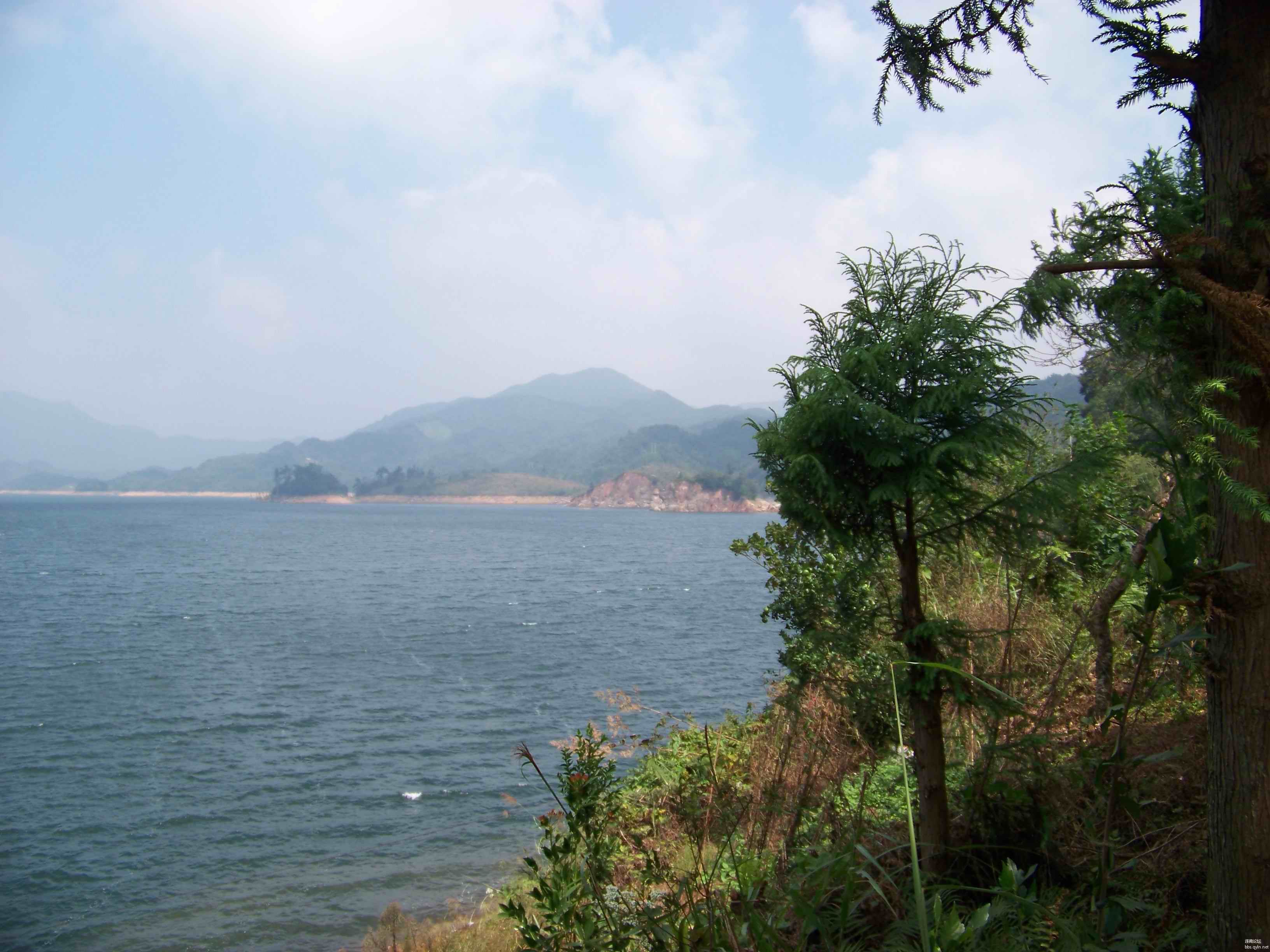 美丽的板洞
