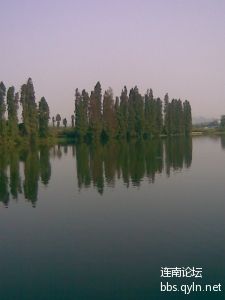 连南在线091026