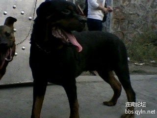 IMG10311713aa.jpg