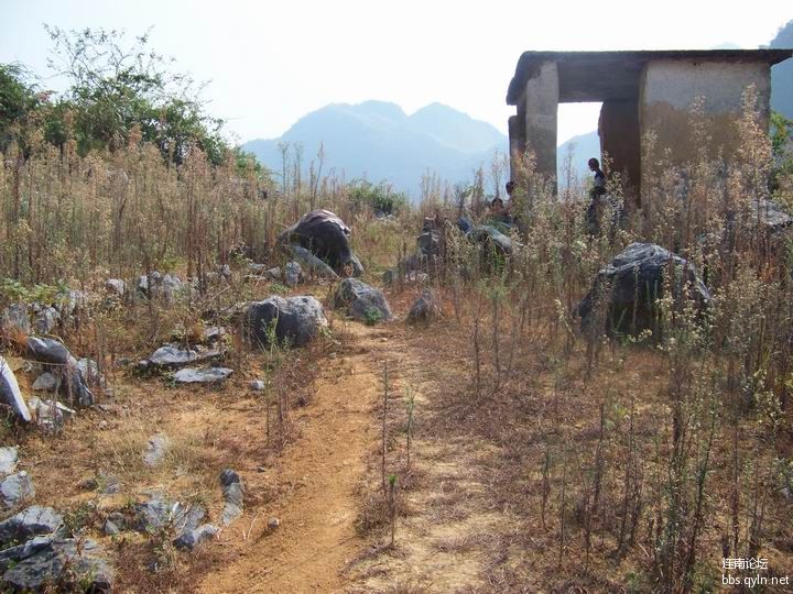0860.JPG