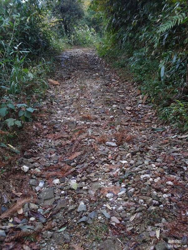 还是很烂的路.jpg