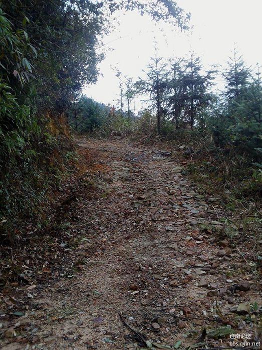 道路多年失修，变成了这个样子了.jpg