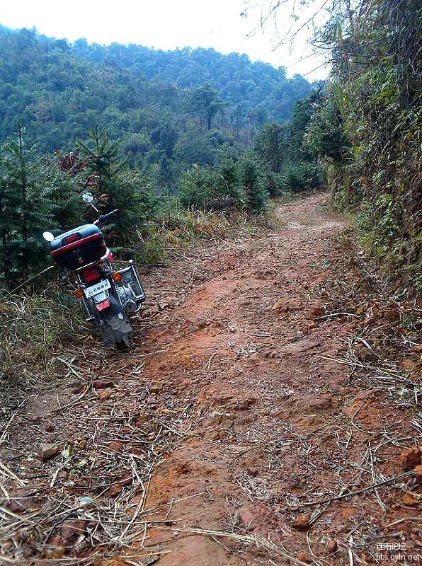 上大榜山水库的路.jpg